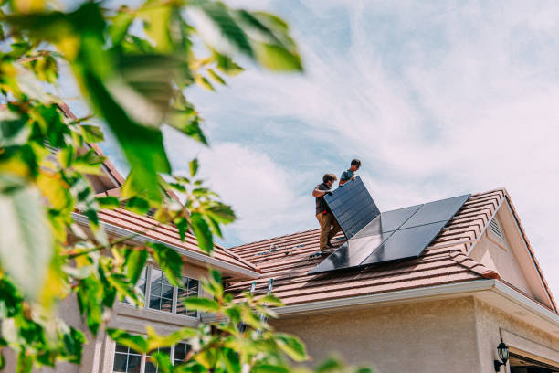 Best Roof Gutter Cleaning  in Pelahatchie, MS