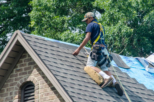 Best Gutter Installation and Roofing  in Pelahatchie, MS
